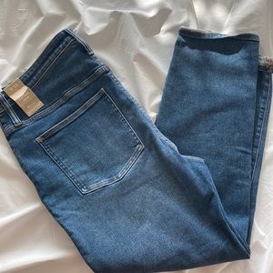 Madewell BRAND NEW WITH TAGS - The Perfect Vintage Jean
